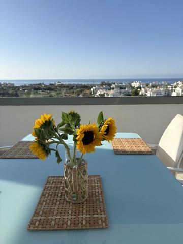 Penthouse in Selwo