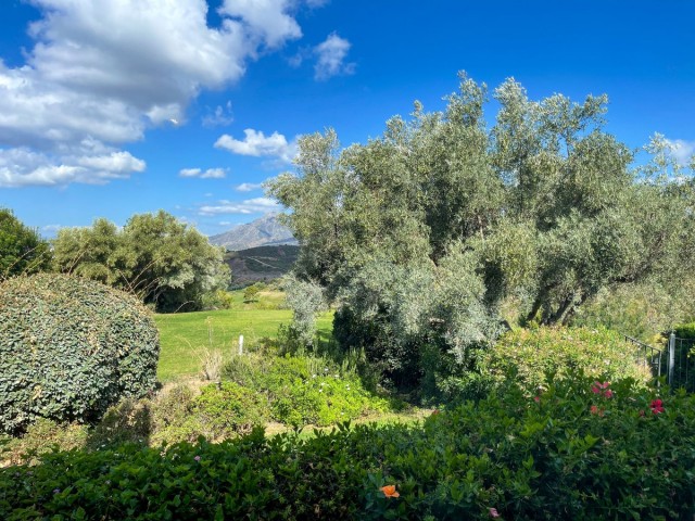 7 Bedroom Villa in El Rosario