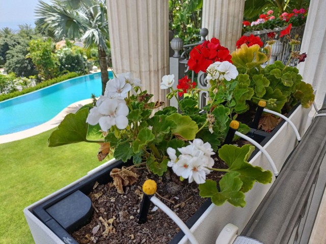 6 Bedroom Villa in Marbella