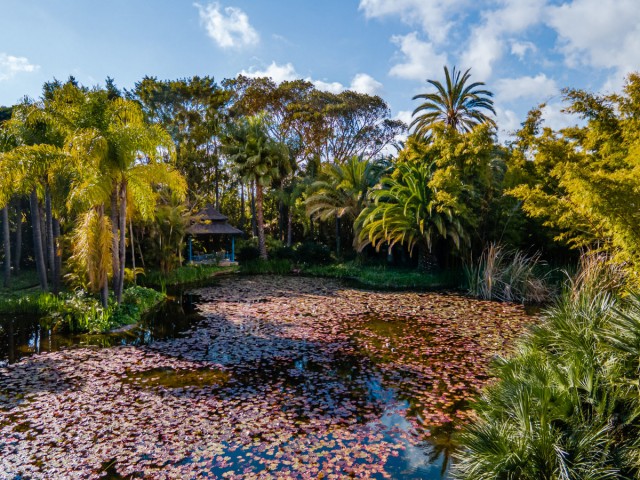 5 Bedroom Villa in The Golden Mile