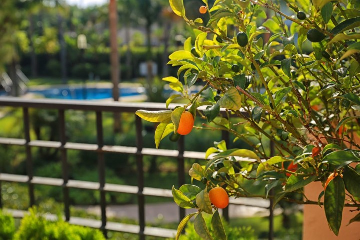 2 Slaapkamer Appartement in Puerto Banús