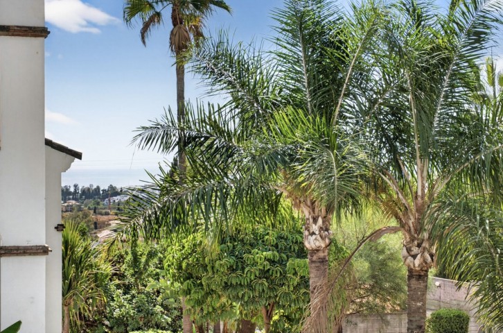 4 Bedroom Apartment in Nagüeles