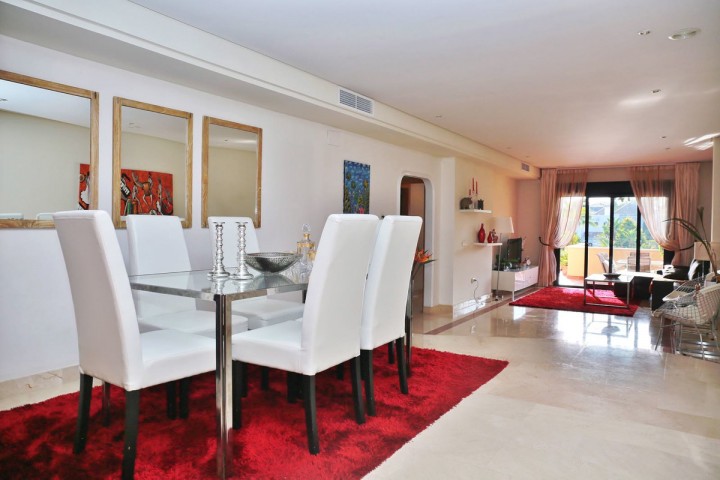 2 Bedroom Apartment in Puerto Banús