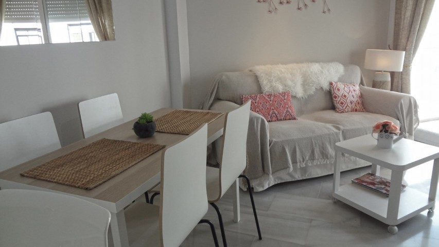 1 Bedroom Apartment in Marbella